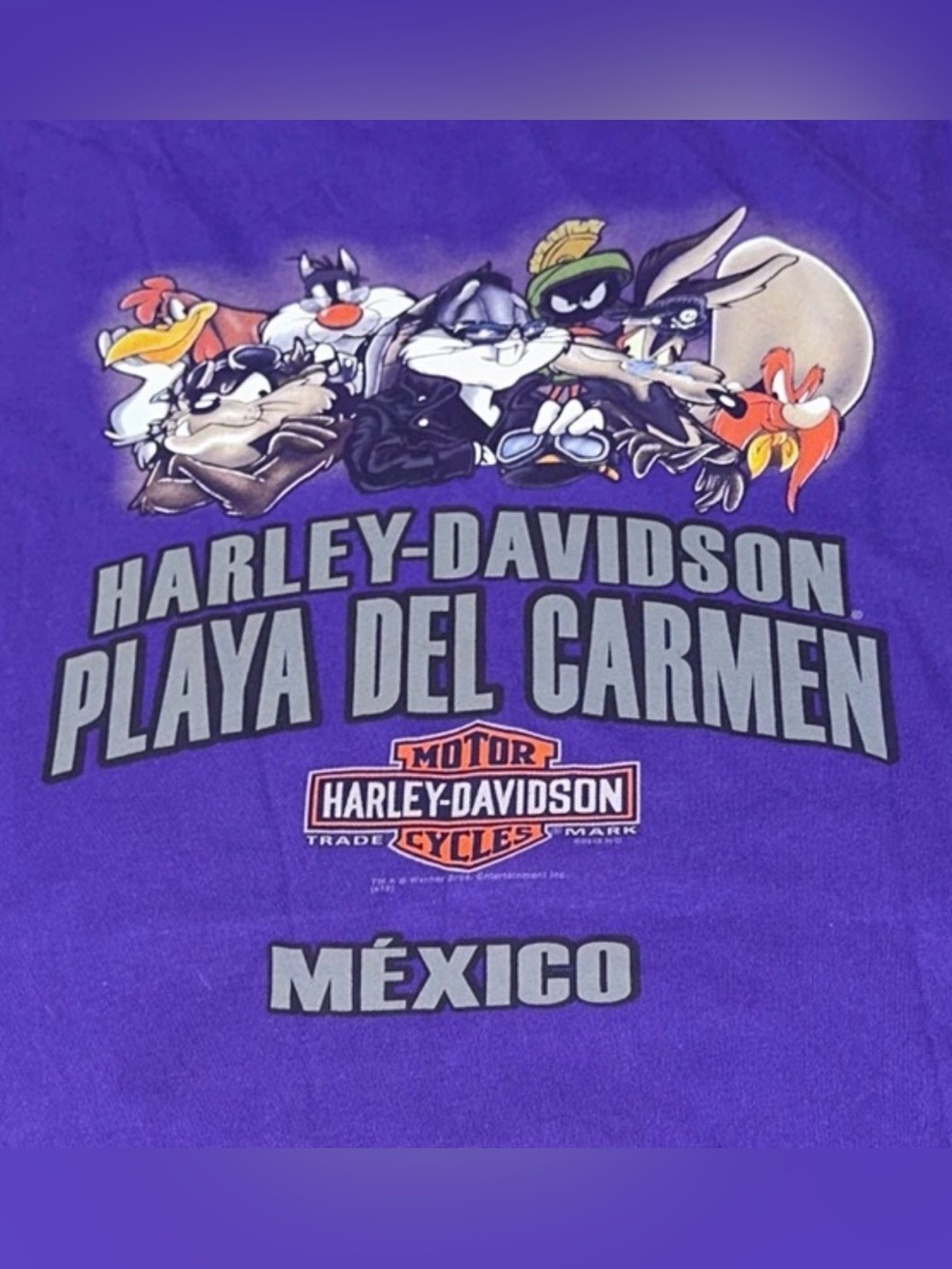 Harley-Davidson Looney Tunes Tweety Mexico T Shirt
